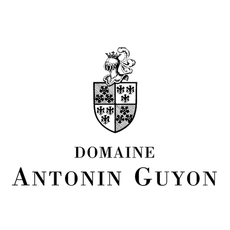 Logo Antonin Guyon
