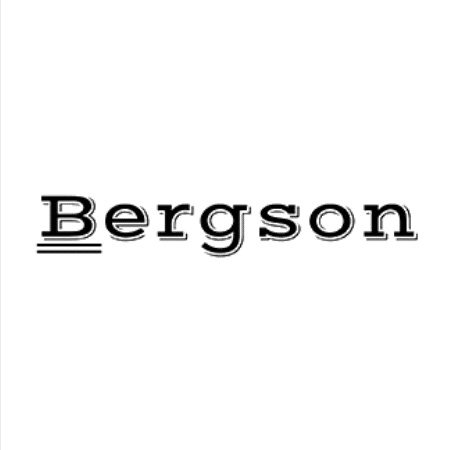 Logo Bergson
