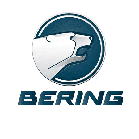 Logo Bering