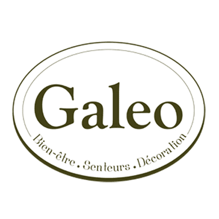 Logo Galeo Concept