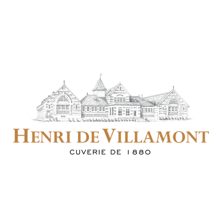 Logo Henri de Villamont