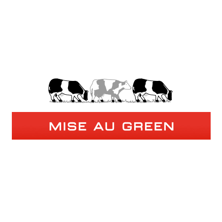 Logo Mise au Green