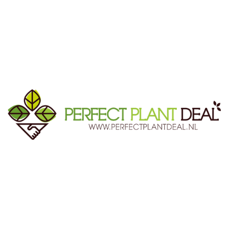 Logo Perfect Plant Deal