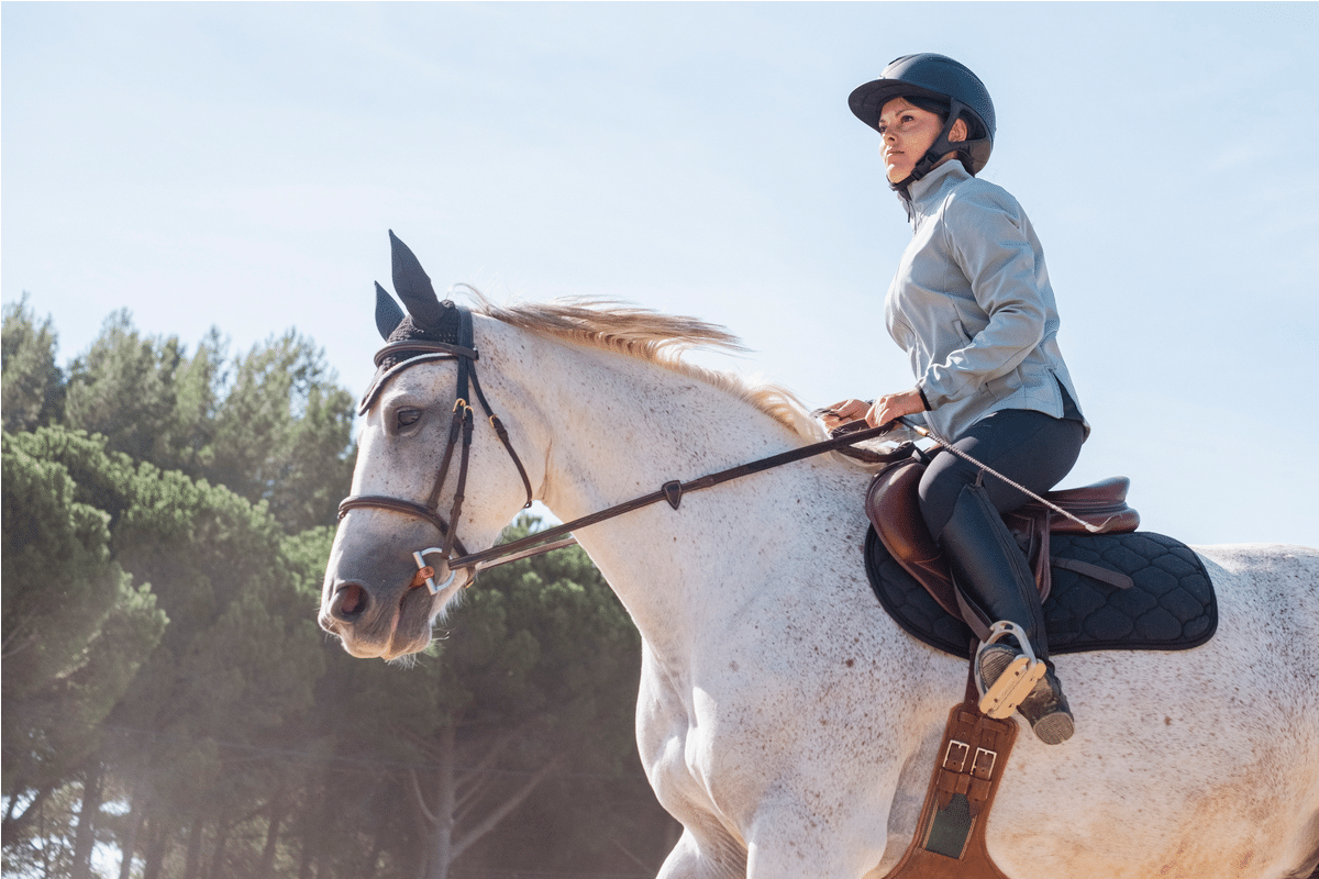 Vente privée équitation - Équipement pour cheval & cavalier à prix