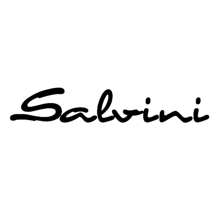Logo Salvini