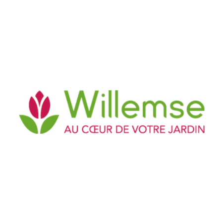 Logo Willemse
